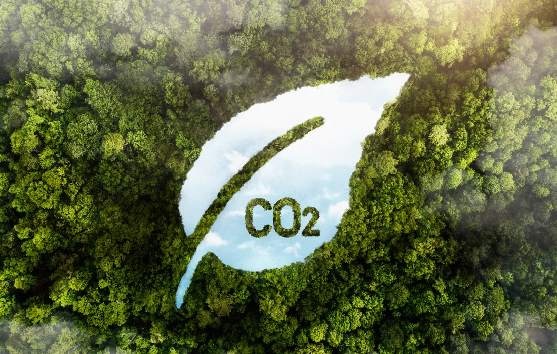 Becas en Secuestro de Carbono 2026 para estudiantes de maestría y doctorado