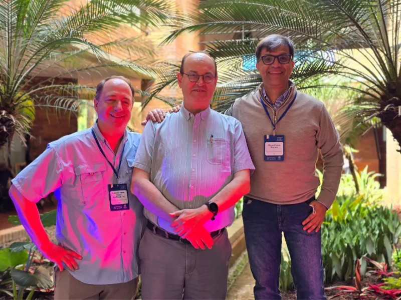 Planeación conjunta