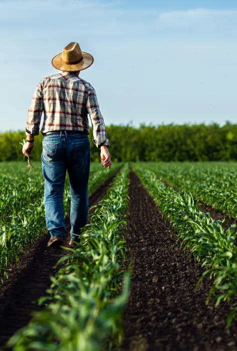 Jurisdicción Agraria: una clave para el desarrollo rural